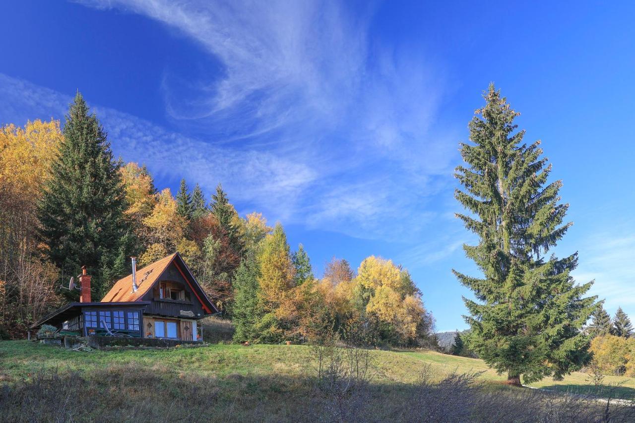 Fairytale Cottage - Peaceful Getaway Near Bled Zgornje Gorje Ngoại thất bức ảnh