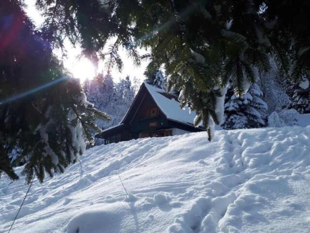 Fairytale Cottage - Peaceful Getaway Near Bled Zgornje Gorje Ngoại thất bức ảnh